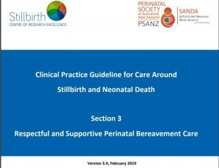 Clinical Practice Guidelines for care around stillbirth and neonatal death