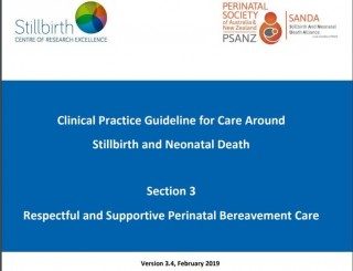 Clinical Practice Guidelines for care around stillbirth and neonatal death